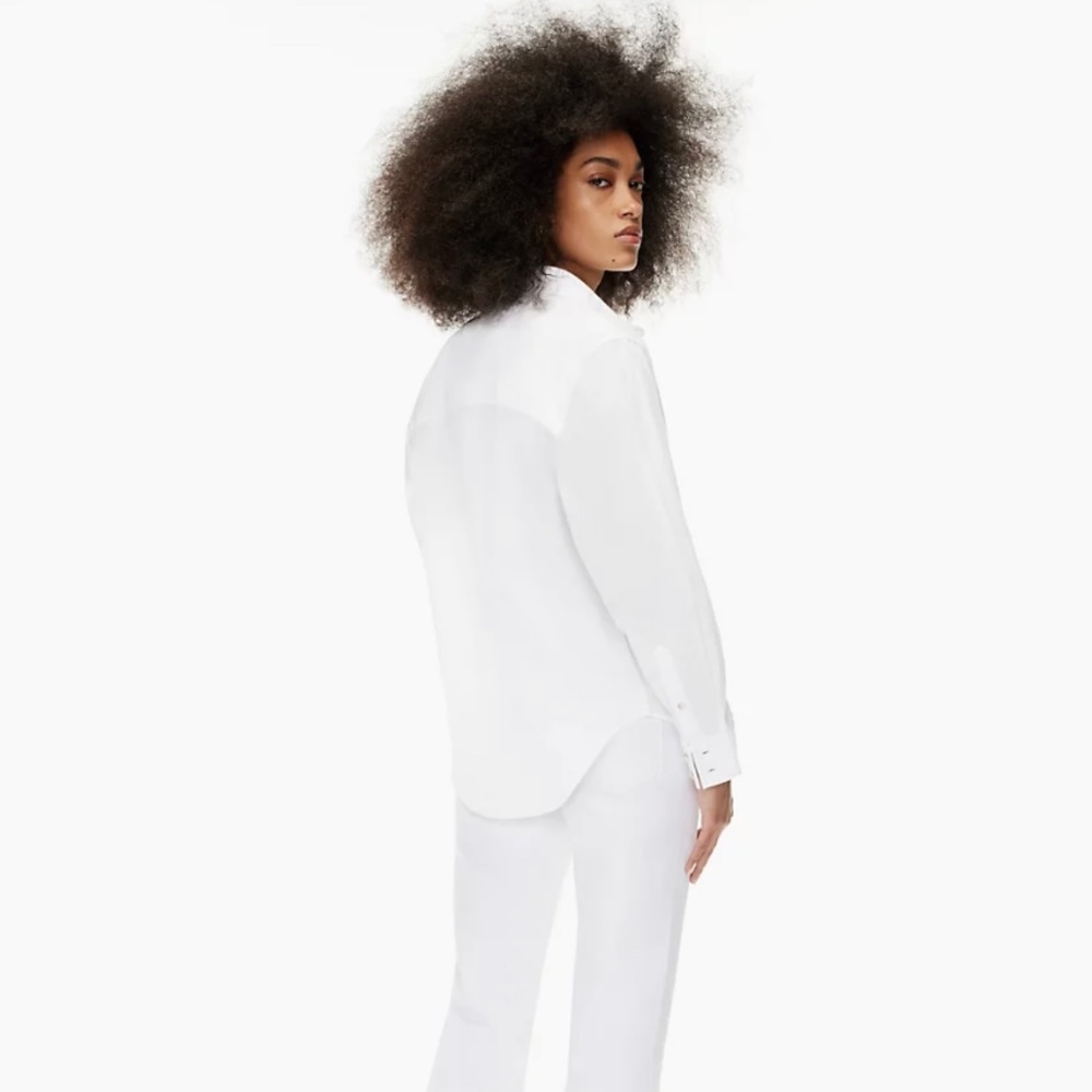Aritzia Denim Forum THE JANE LONG SLEEVE SHIRT